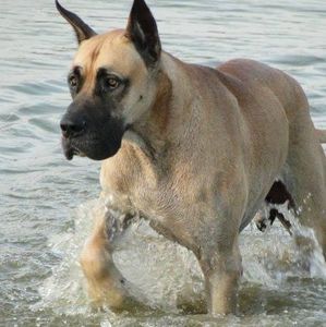 Meet your Posher, Jerre